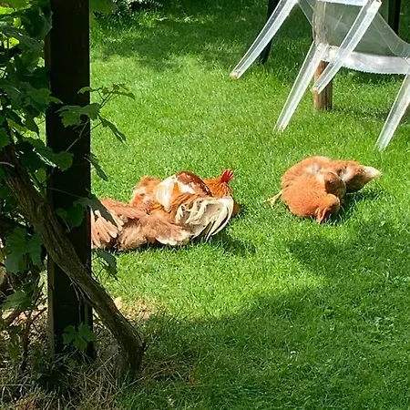 Marmelada Apartamento *