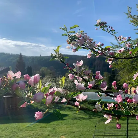 Marmelada Apartamento Ctyrkoly