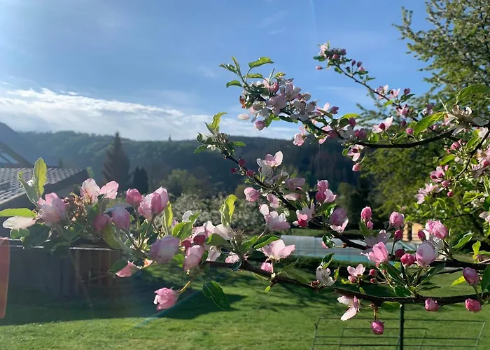 Marmelada Apartment Ctyrkoly